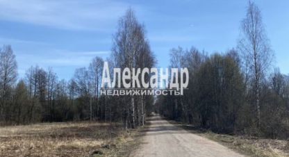 Купить земельный участок на улице Ленинградская выборновопоселковая г. Выборг. Фотография №5