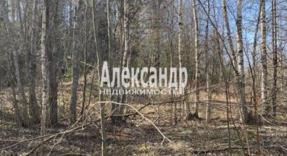 Купить земельный участок в г. Выборг. Фотография №2