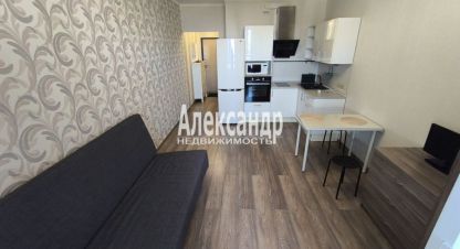Сдам квартиру с общей площадью 25.9м2, 21/22 эт., на улице Ленинградская всеволожский  мурино шувалова, Всеволожский район, г. Мурино, Ленинградская обл., Россия, агентство Александр-Недвижимость. Фотография №1