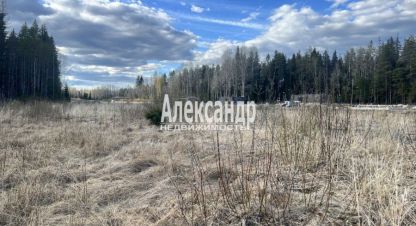 Продаётся земельный участок в г. Коттеджный посёлок репола парк. Фотография №6