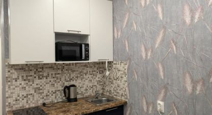 Снять квартиру, 24.3 кв. м. Фотография №1 Сдам квартиру с общей площадью 24.3м2, 7/16 эт., на улице Шоссе в лаврики ул 64, г. Мурино, Ленинградская обл., Россия, агентство РЕАЛ агентство недвижимости. Фотография №1
