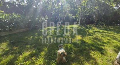 Купить земельный участок в г. Гавань. Фотография №2