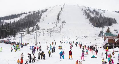 Продаётся производственно-складское помещение в г. Эстосадок. Фотография №7