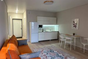 Продам квартиру 1 комнатную с общей площадью 30.4м2, 11/11 эт., на улице Любы Шевцовой, г. Воронеж, Воронежская обл., Россия, агентство Плацдарм