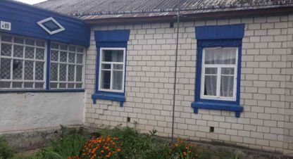 Продам дом с общей площадью 72м2, на улице Луговая, г. Петровка, Черниговская обл., Украина, агентство Агентство нерухомості Лівий Берег. Фотография №1
