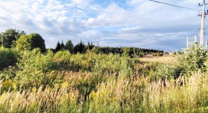 Купить земельный участок г. Денежниково. Фотография №4