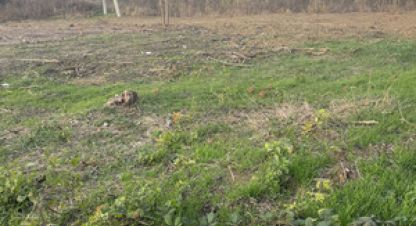 Купить земельный участок в г. Супсех. Фотография №3