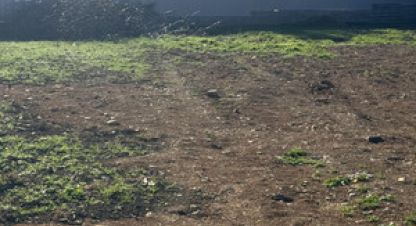 Купить земельный участок в г. Супсех. Фотография №2