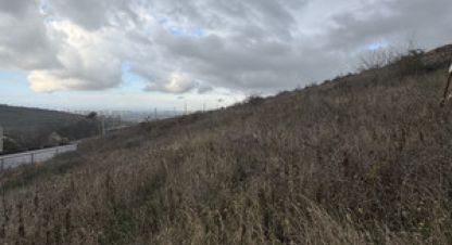 Купить земельный участок на улице Зимняя г. Супсех. Фотография №4