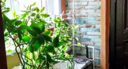 Купить дом 4-х комнатную, 81.3 кв. м., Россия, г. Тихорецк. Фотография №9