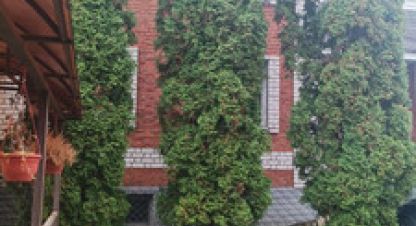 Купить дом в г. Семеновка. Фотография №3 Купить дом в г. Семеновка. Фотография №3