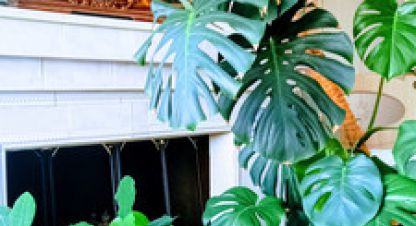 Купить дом 9-ти комнатную, 388.4 кв. м. Фотография №9 Купить дом 9-ти комнатную, 388.4 кв. м., Россия, г. Семеновка. Фотография №9