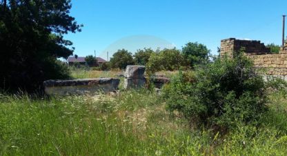 Купить земельный участок в г. Лесновка. Фотография №3