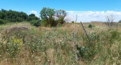 Купить земельный участок в г. Лесновка. Фотография №2