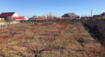 Купить земельный участок в г. Владимировка. Фотография №2