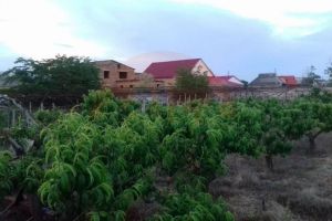 Продам земельный участок, г. Владимировка, Крым авт. респ., Россия, агентство СитиДом