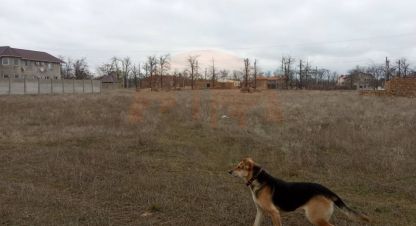 Купить земельный участок в г. Орехово . Фотография №2