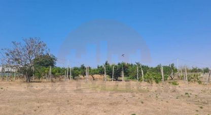 Купить земельный участок на улице Каштановая г. Михайловка. Фотография №4