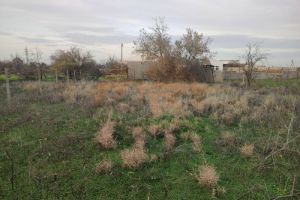 Продам земельный участок, на улице Озерная, г. Орехово , Крым авт. респ., Россия, агентство СитиДом