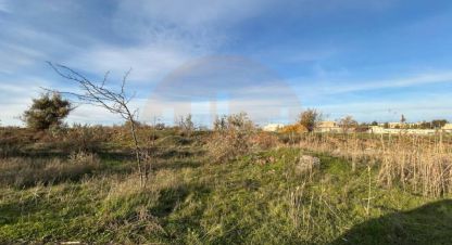 Купить земельный участок в г. Саки . Фотография №2