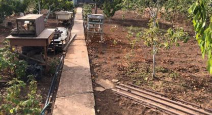 Купить земельный участок на улице Строительный г. Пгт новофедоровка. Фотография №4