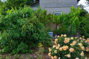 Продам коттедж/дачу 3-х комнатную с общей площадью 35м2, г. Михайловка, Крым авт. респ., Россия, агентство СитиДом