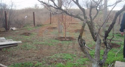 Купить коттедж/дачу 4-х комнатную, 94.1 кв. м., Россия, г. Саки . Фотография №9