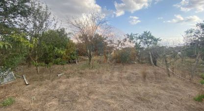 Купить коттедж/дачу 2-х комнатную, 60 кв. м., Россия, г. Орехово . Фотография №9