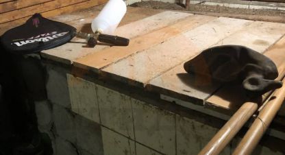 Купить коттедж/дачу г. Пгт новофедоровка. Фотография №5