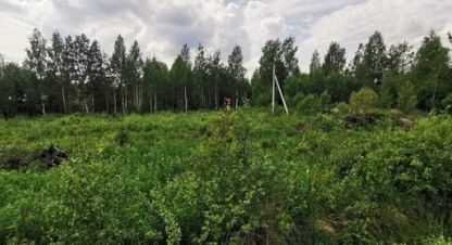 Купить земельный участок г. Волшебный сад тер. Фотография №5 Купить земельный участок г. Волшебный сад тер. Фотография №5