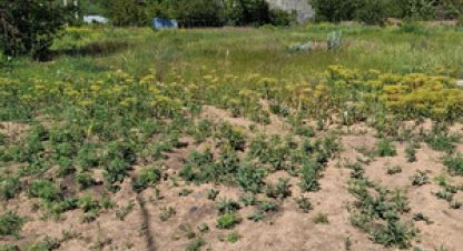 Купить земельный участок в г. Ростов-на-Дону. Фотография №2