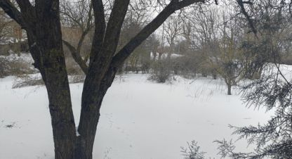 Купить дом в г. Новониколаевка. Фотография №3