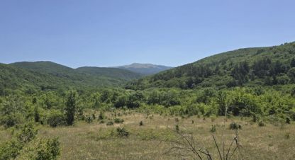 Продам земельный участок, на улице Синапное с, г. Синапное, Крым авт. респ., Россия, агентство Интернет-партнер. Фотография №1