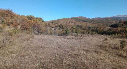 Купить земельный участок в г. Синапное. Фотография №2