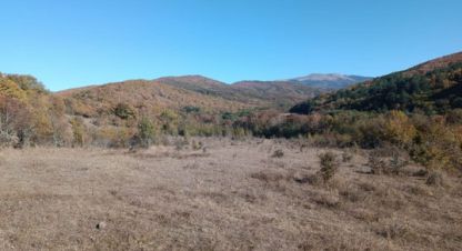 Купить земельный участок в г. Синапное. Фотография №3