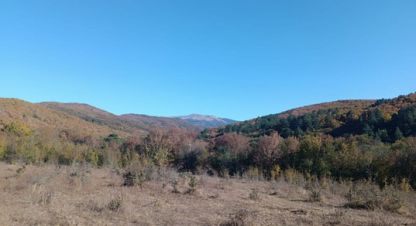 Купить земельный участок на улице Синапное с г. Синапное. Фотография №4