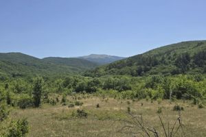 Продам земельный участок, на улице Синапное с, г. Синапное, Крым авт. респ., Россия, агентство Интернет-партнер