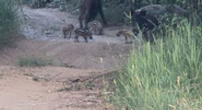 Продаётся земельный участок в г. Синапное. Фотография №6