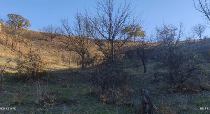 Купить земельный участок, Россия, г. Приветное . Фотография №9