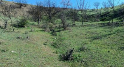 Продаётся земельный участок в г. Приветное . Фотография №7