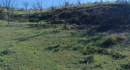 Купить земельный участок на улице Фросинлер ул г. Приветное . Фотография №5