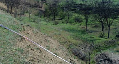 Купить земельный участок в г. Приветное . Фотография №3