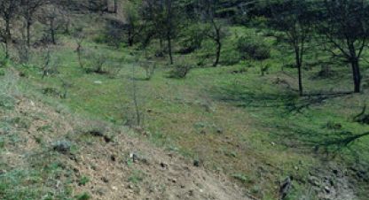 Купить земельный участок в г. Приветное . Фотография №2