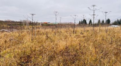 Купить земельный участок в г. Выльгорт. Фотография №2