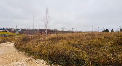 Купить земельный участок в г. Выльгорт. Фотография №3