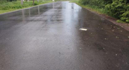 Купить земельный участок в г. Кузнецово. Фотография №3