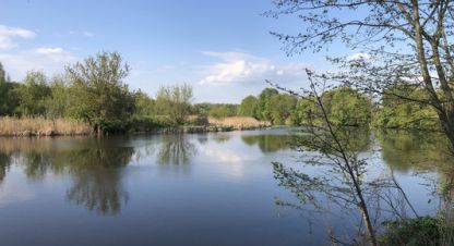 Купить земельный участок на улице Зеленая г. Рабочий посёлок свердловский. Фотография №5