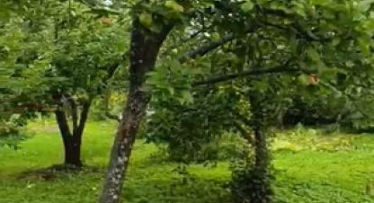 Купить земельный участок, Россия, г. Пески тер снт. Фотография №9