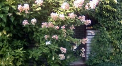 Продаётся земельный участок в г. Пески тер снт. Фотография №6