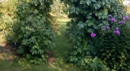 Купить земельный участок на улице 13-я линия г. Пески тер снт. Фотография №5